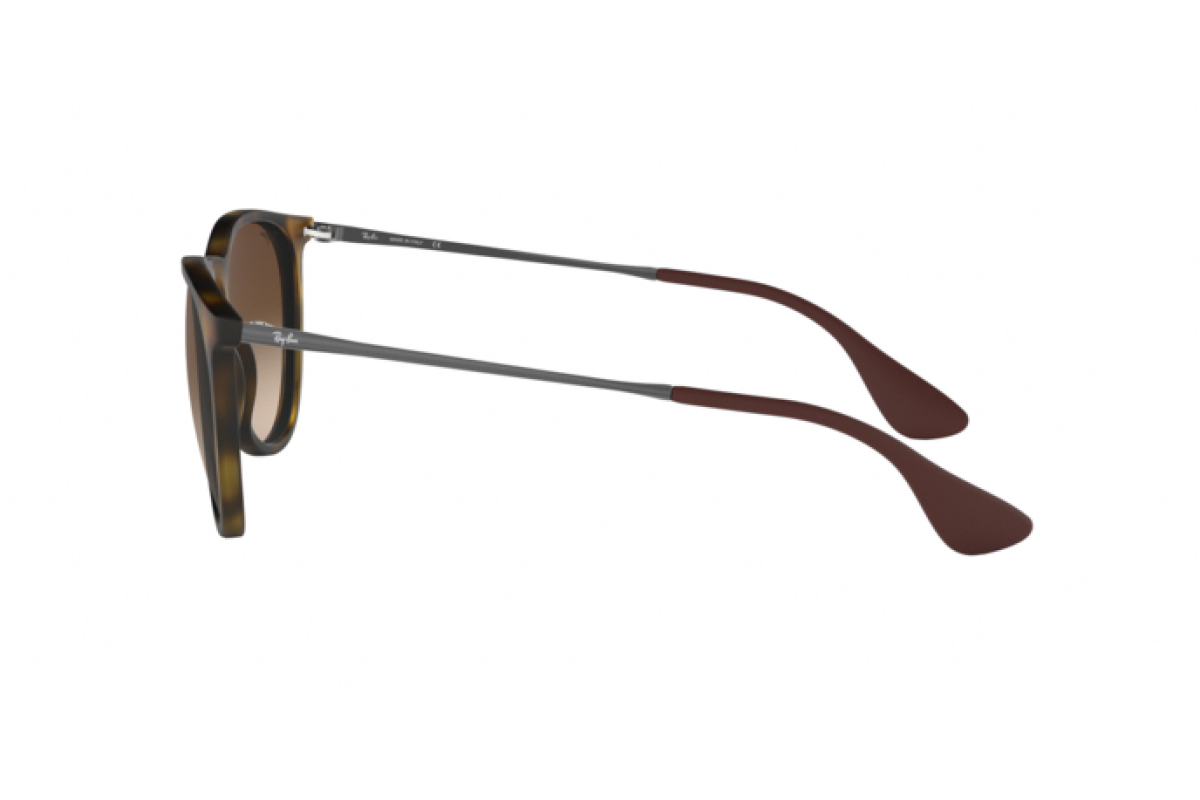 Occhiali da Sole Ray-Ban Erika RB 4171