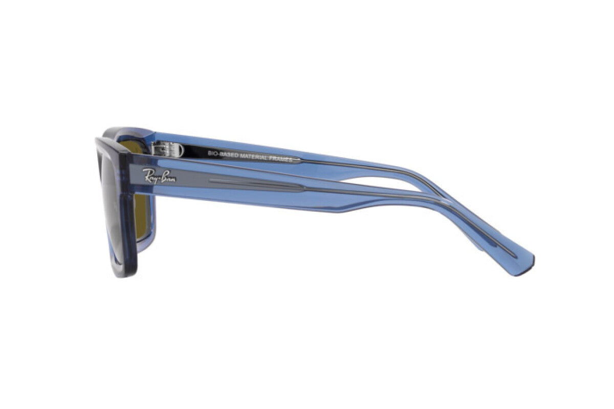 Occhiali da Sole Ray-Ban Warren RB 4396