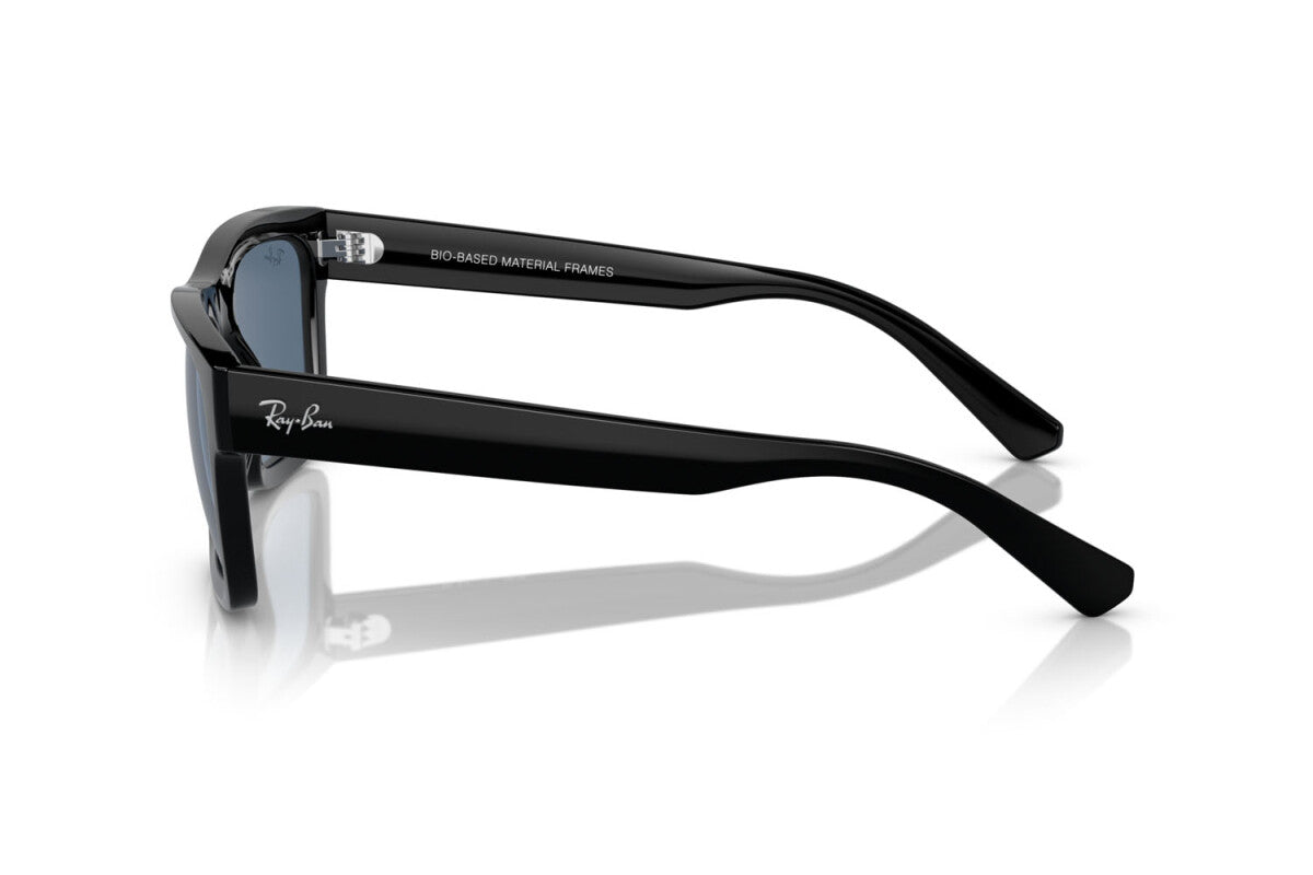 Occhiali da Sole Ray-Ban Warren RB 4396