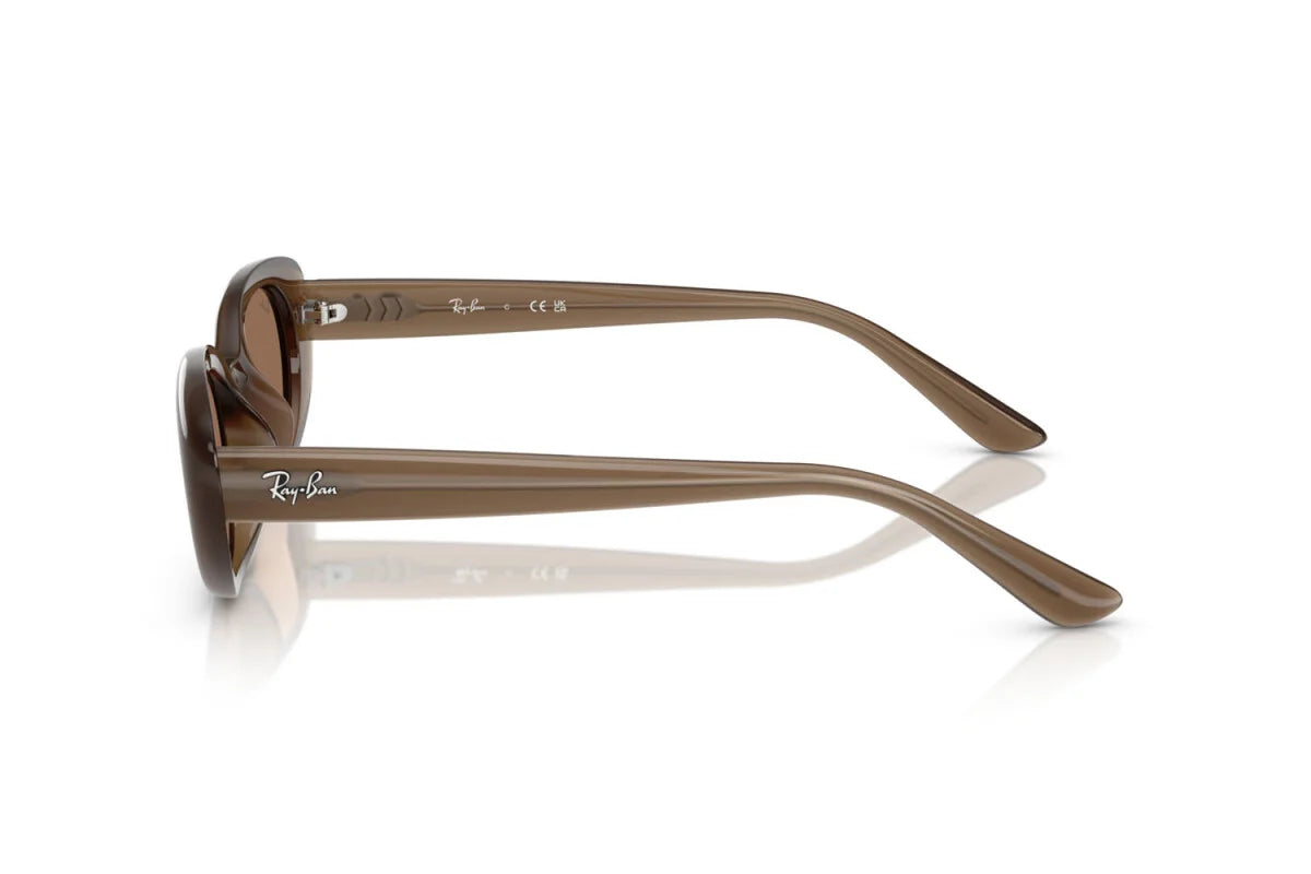 Occhiali da Sole Ray-Ban RB 4441D