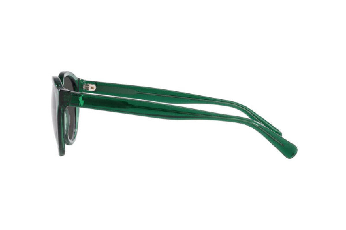 Occhiali da Sole Polo PH 4192