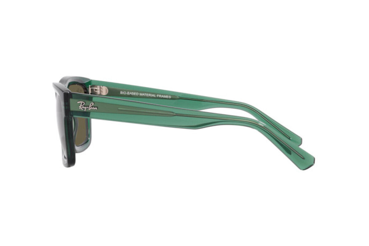 Occhiali da Sole Ray-Ban Warren RB 4396