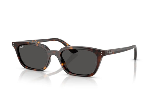 Occhiali da Sole Ray-Ban Zaya RB 4456 (135987)