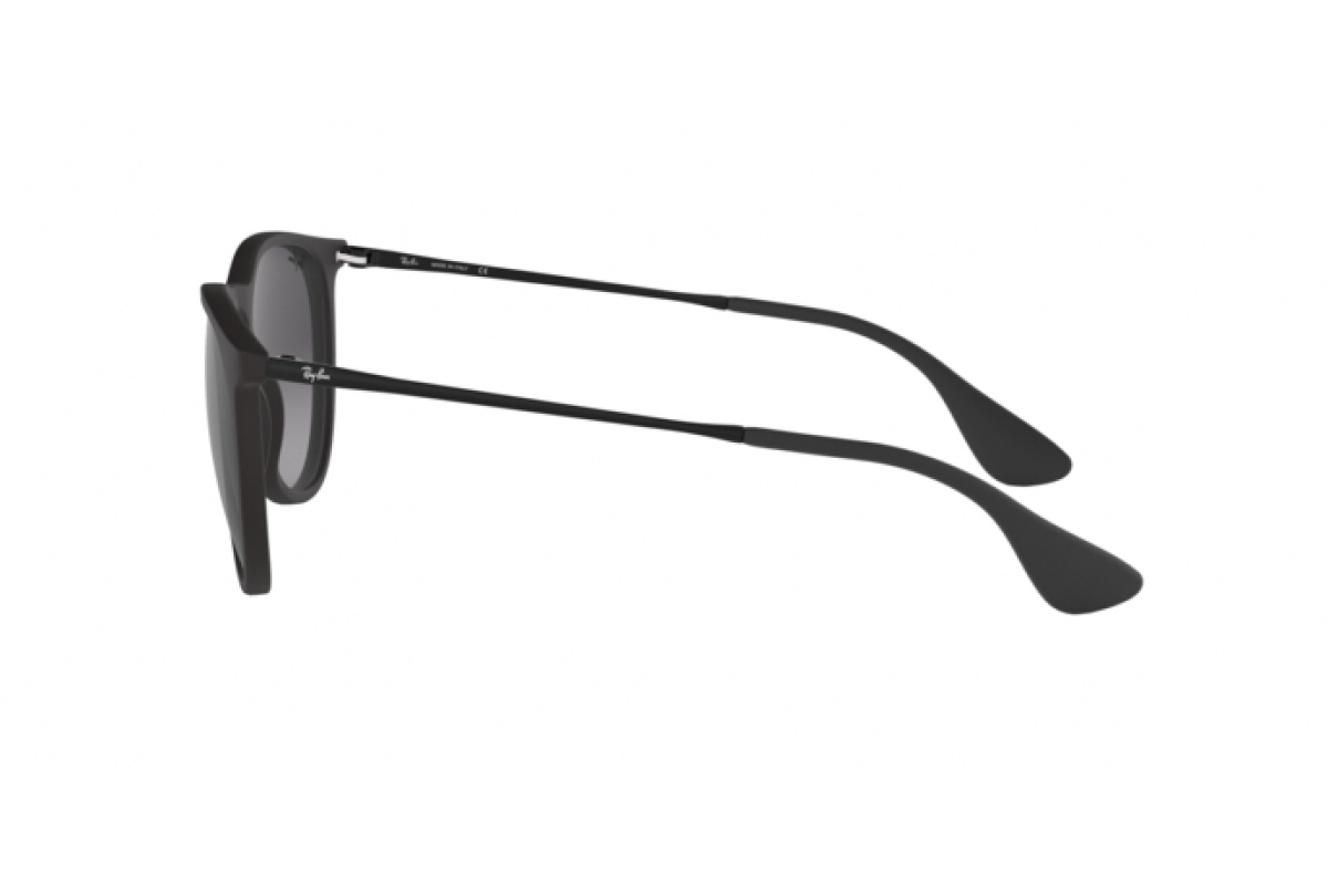 Occhiali da Sole Ray-Ban Erika RB 4171